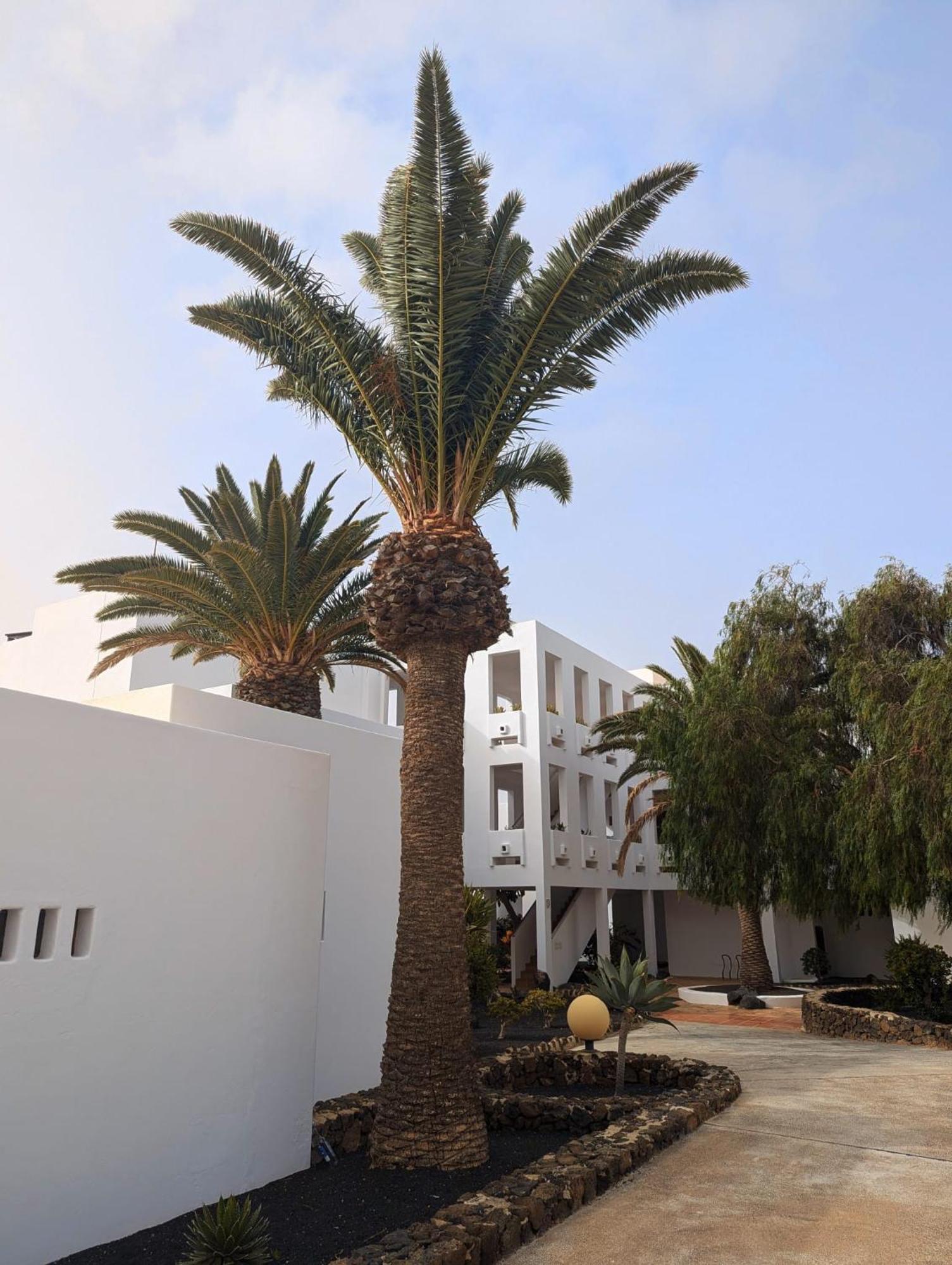Charming Flat In Los Molinos With Terrace & Pools, Near Playa Bastian Коста-Тегисе Экстерьер фото